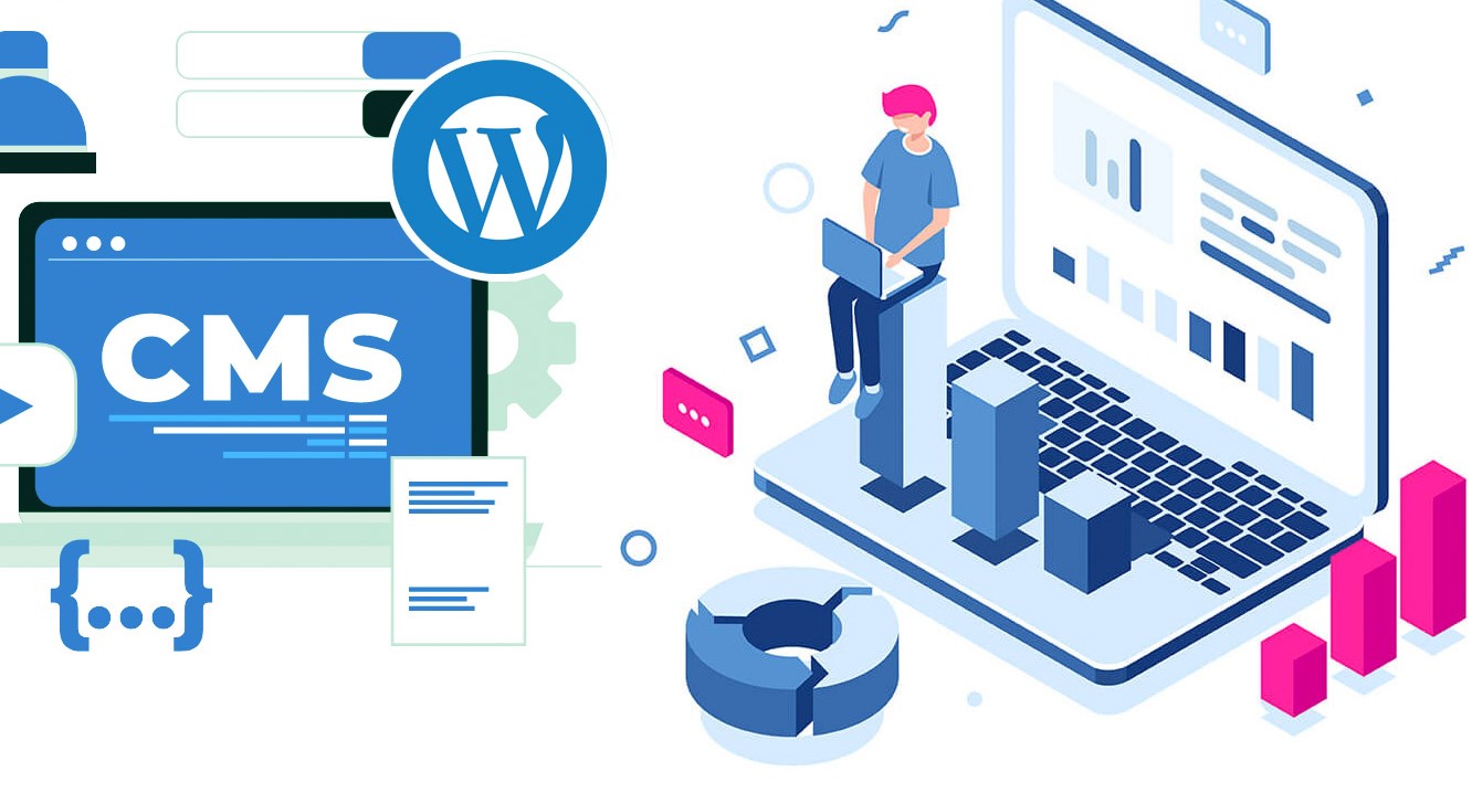 Wordpress design by developer